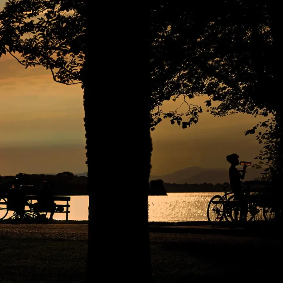 Guided National Park Night Walk