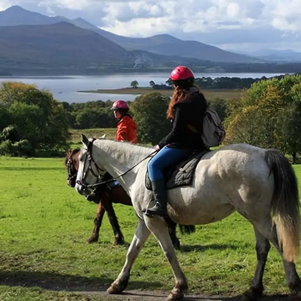 Guided Pony Trek - Killarney National Park