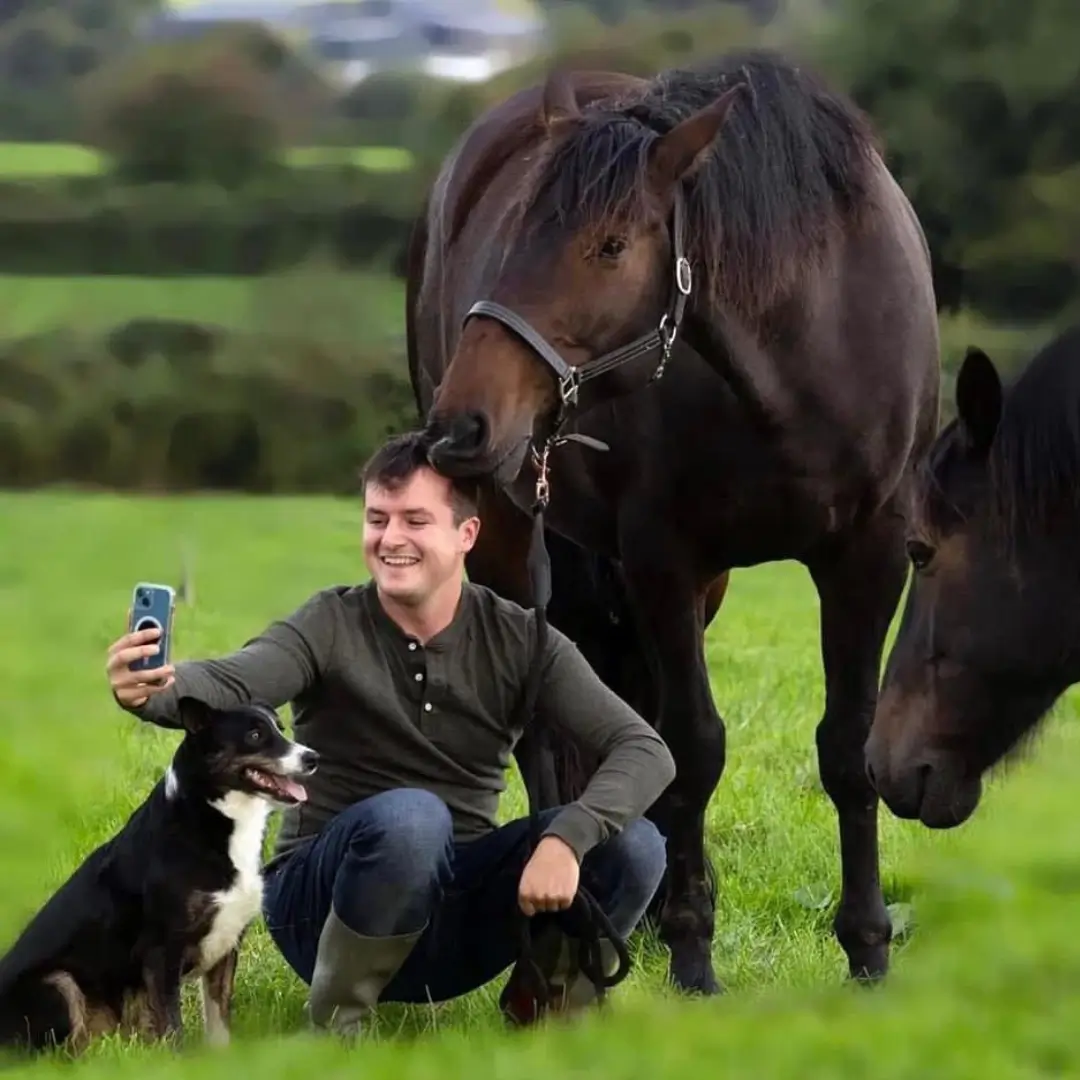 Kerry Cowboy in a field with a collie dog in front and a cow behind him