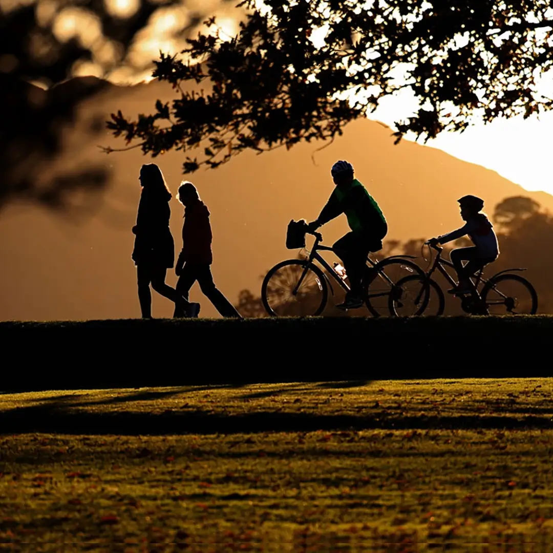 Self- Guided Cycles in the National Park