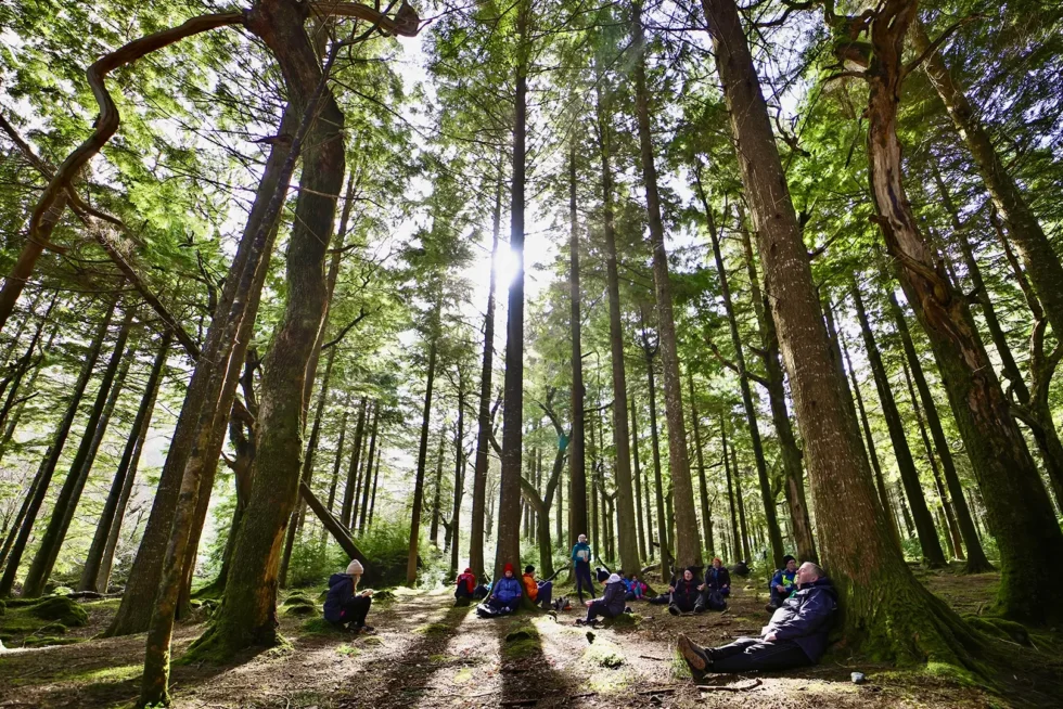 Wander Wild Festival group of people mediating in forest