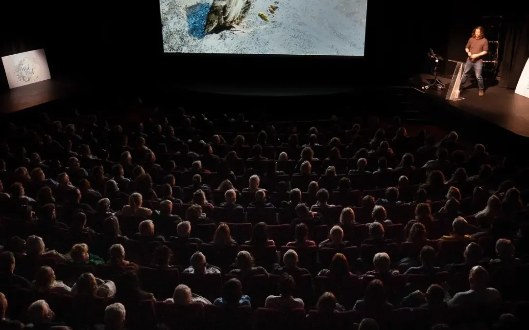 Nature Boy: a journey of birdsong & belonging with Seán Ronayne