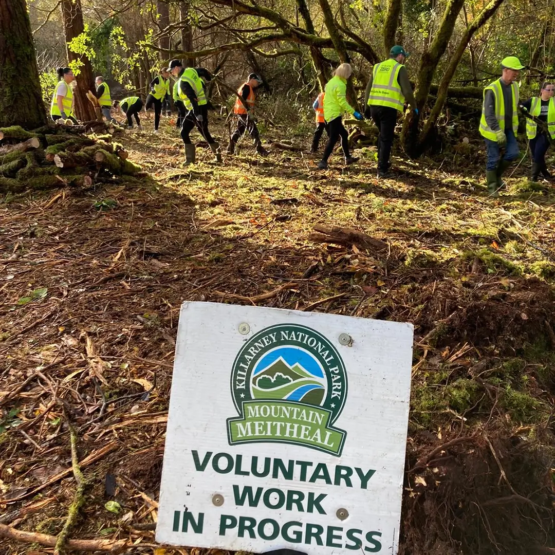 Killarney Meitheal group of people out cutting