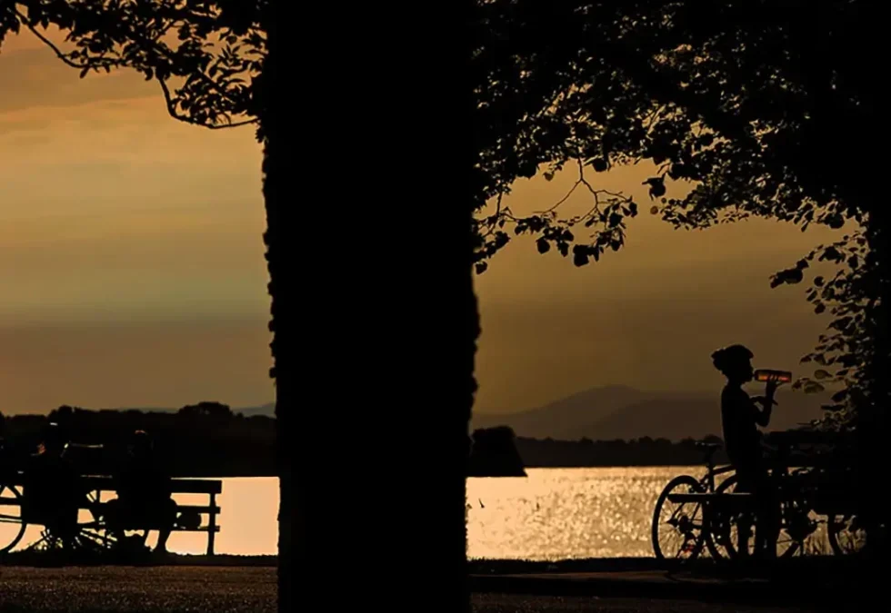 Guided National Park Night Walk