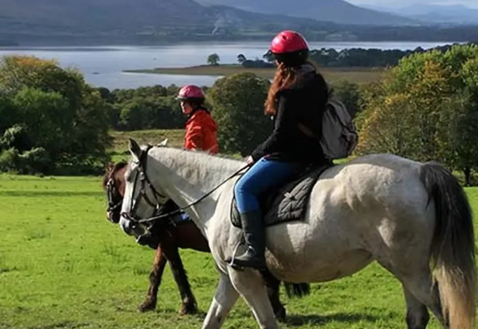Guided Pony Trek – Killarney National Park