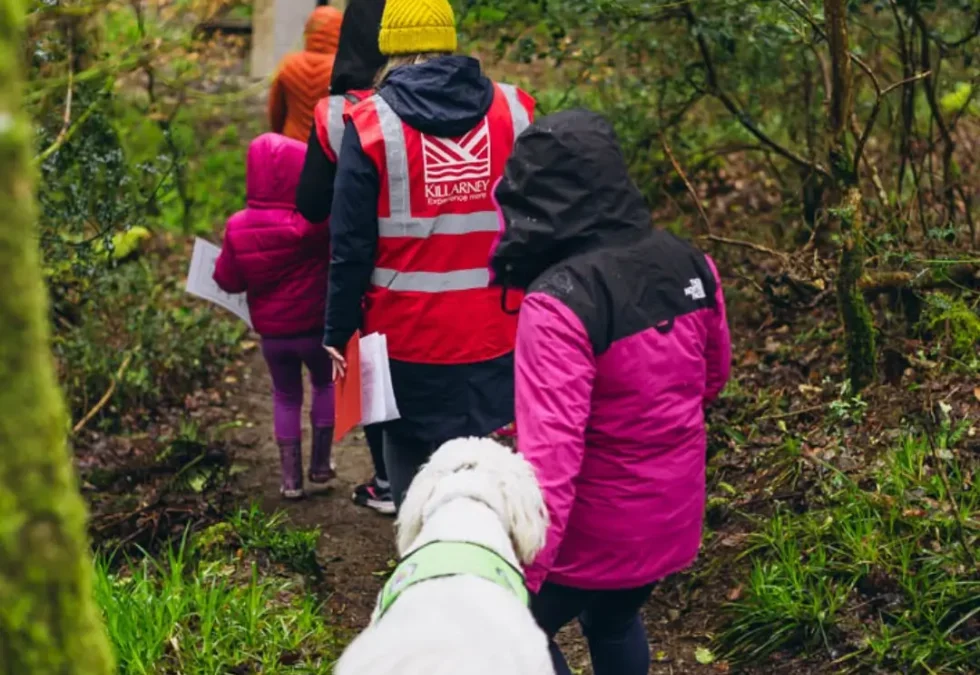 Blue Pool Autism Friendly Walk