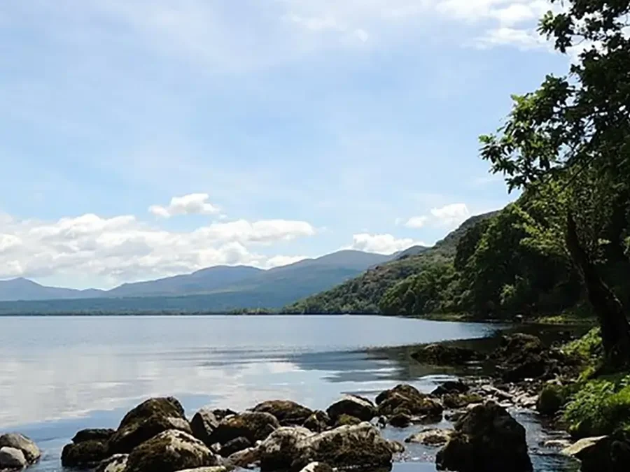 Echoes of Earth & Water