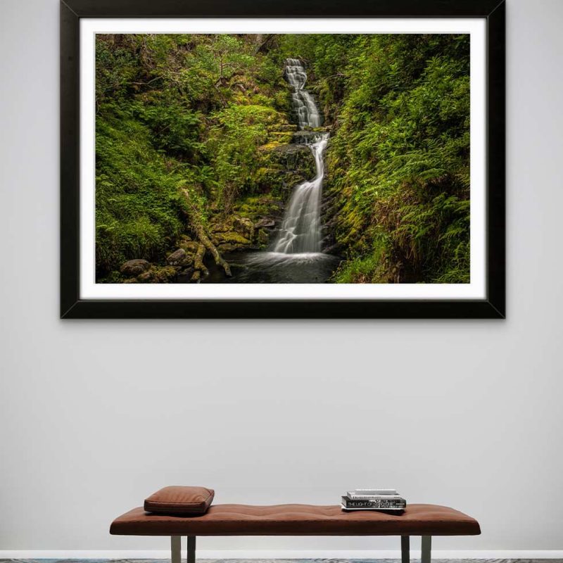 A framed photo hanging in a gallery